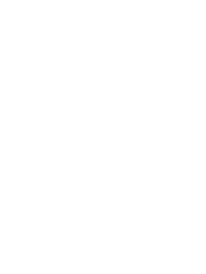 Liga Mundial 2017